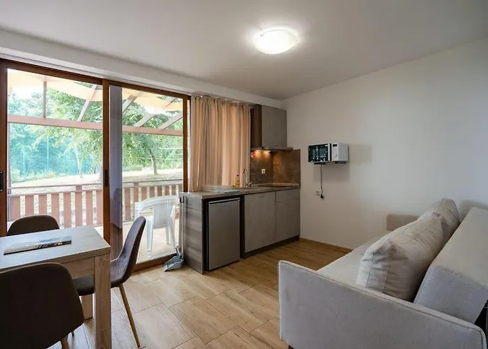 Complex Fichoza Holiday park